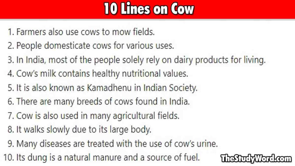 Cow Essay 10 Lines