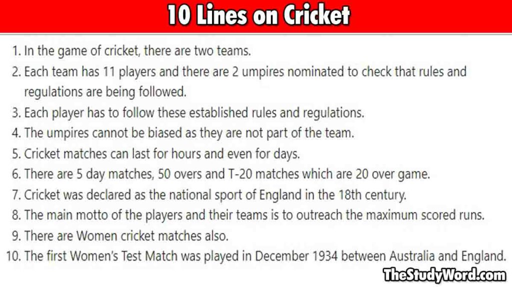 10 Line Essay on Cricket