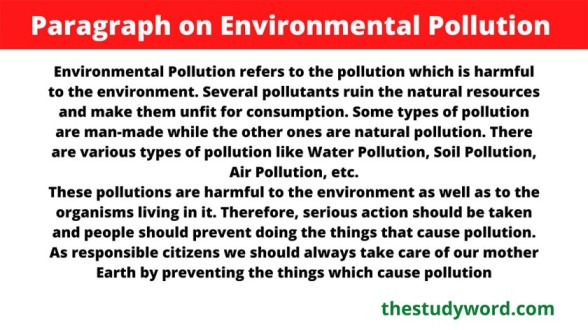 environmental pollution essay in 100 words