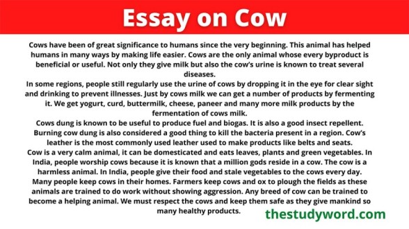Essay on Cow for Students and Children (2023)